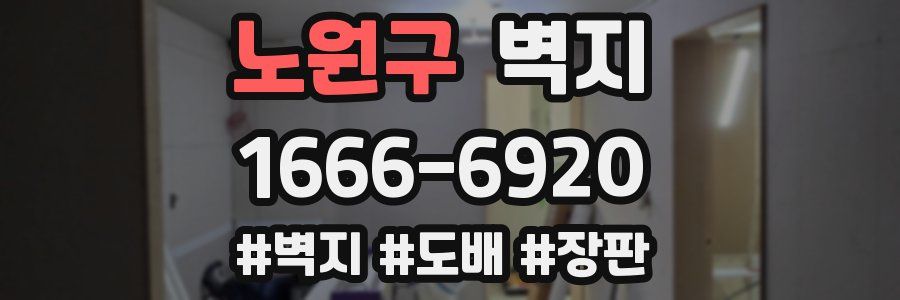 노원구 벽지