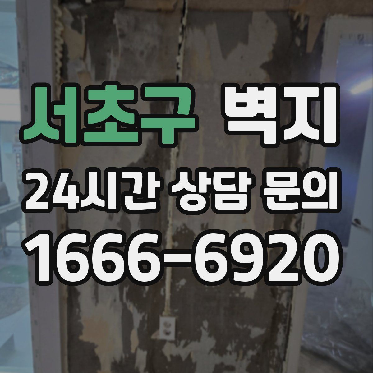 서초구 벽지