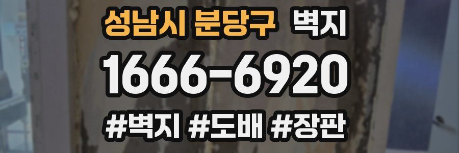 성남시 분당구 벽지