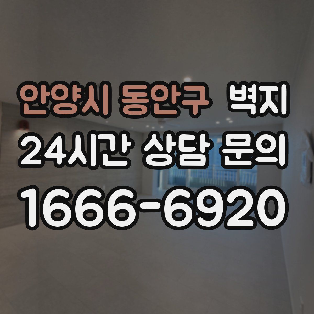 안양시 동안구 벽지