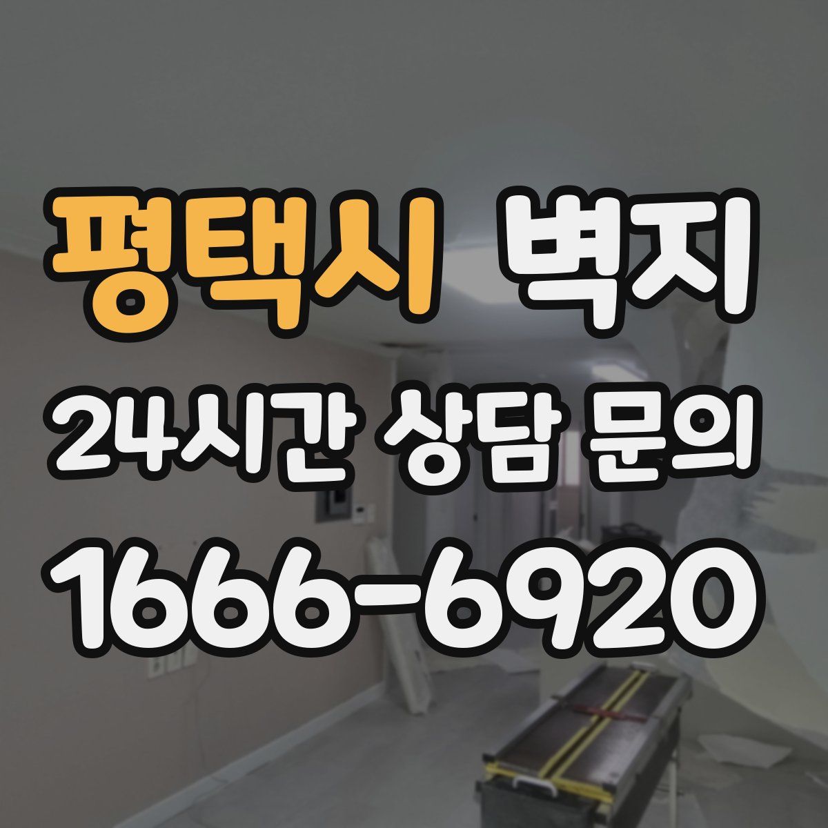 평택시 벽지