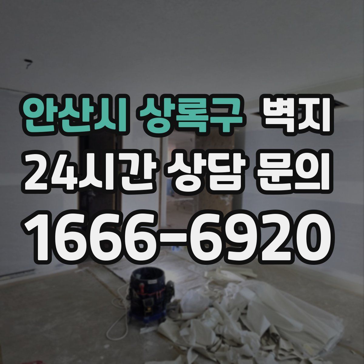 안산시 상록구 벽지