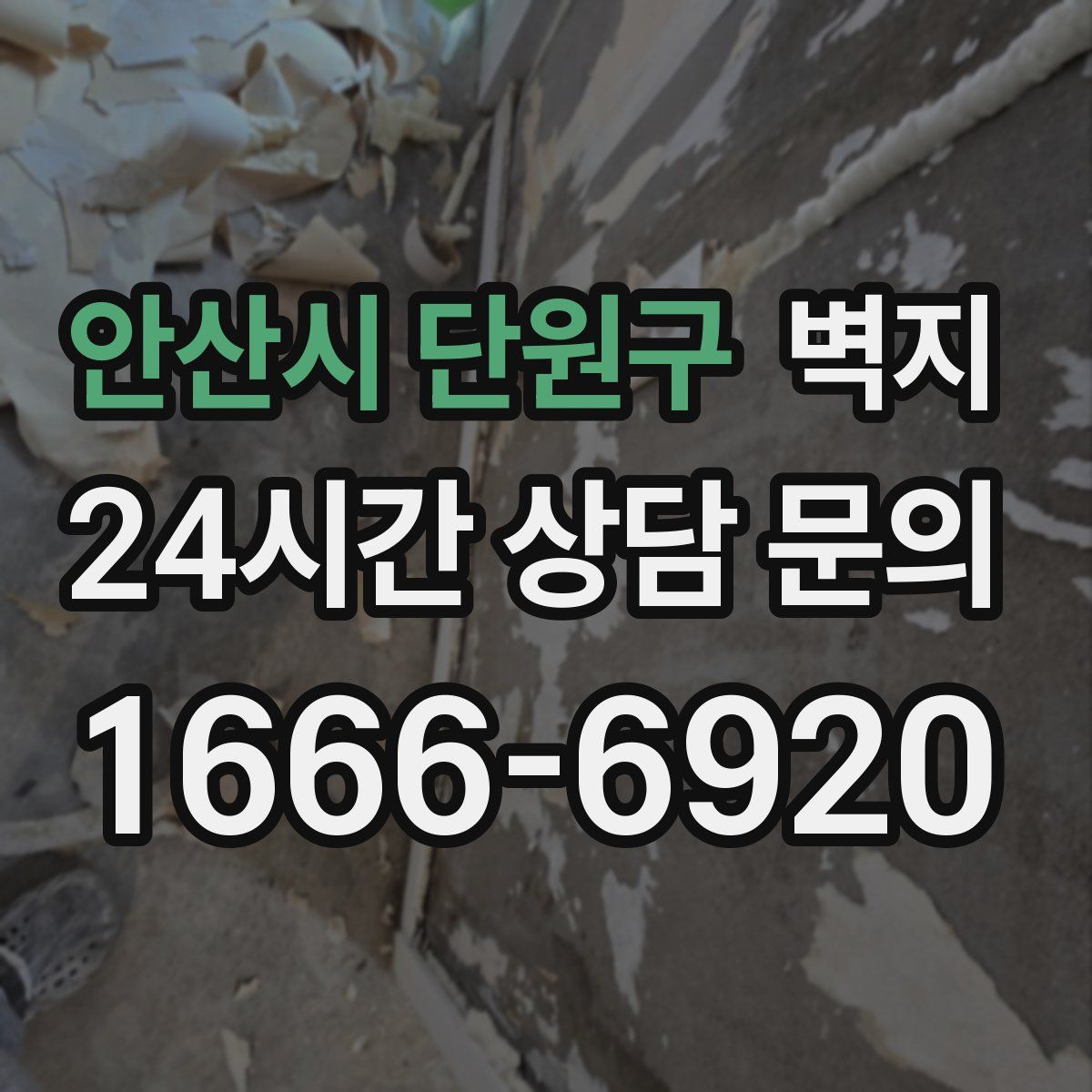 안산시 단원구 벽지