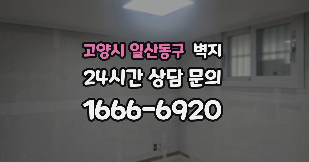 고양시 일산동구 벽지