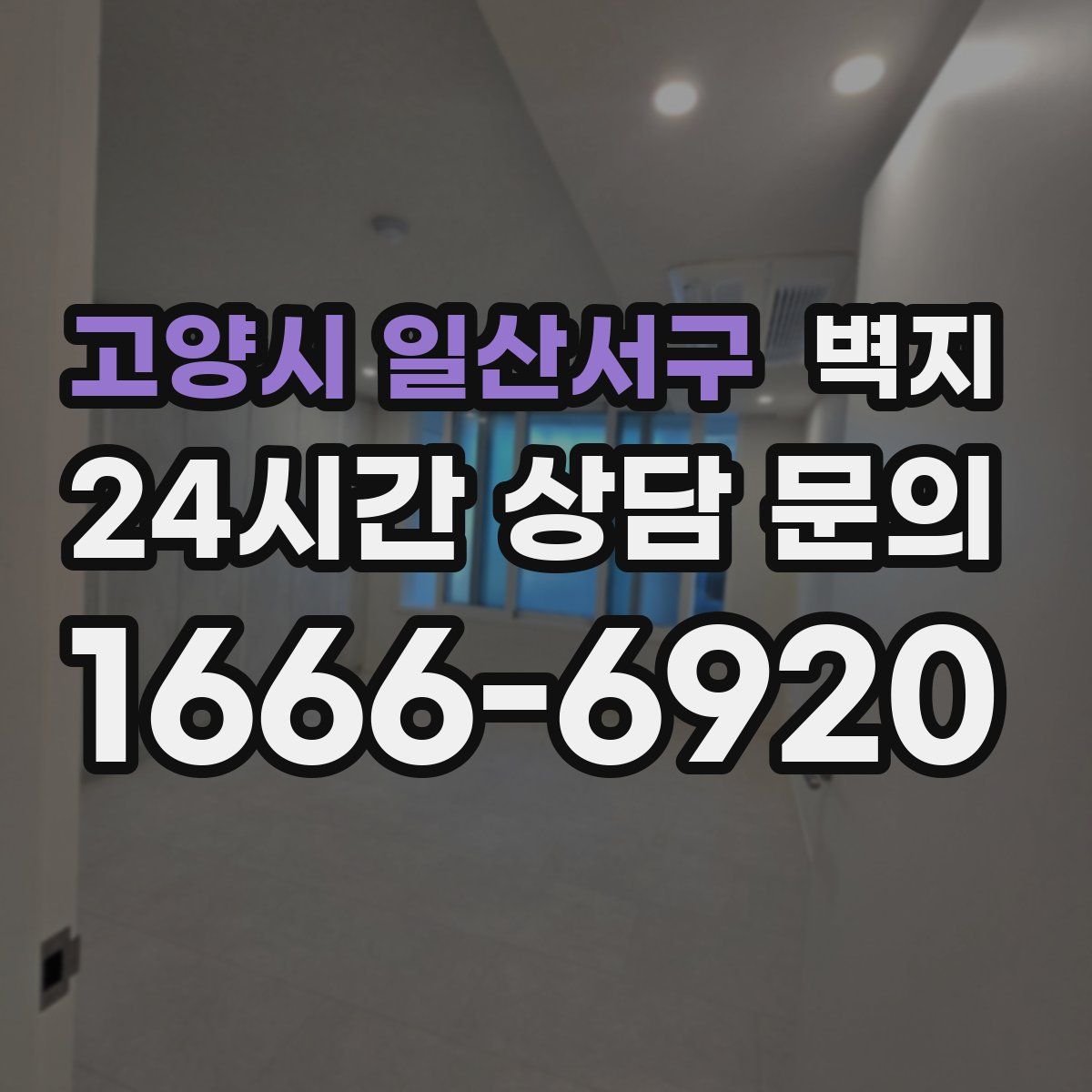 고양시 일산서구 벽지