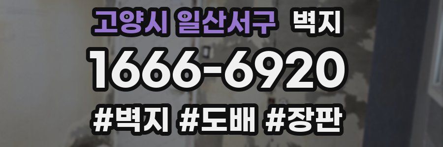 고양시 일산서구 벽지