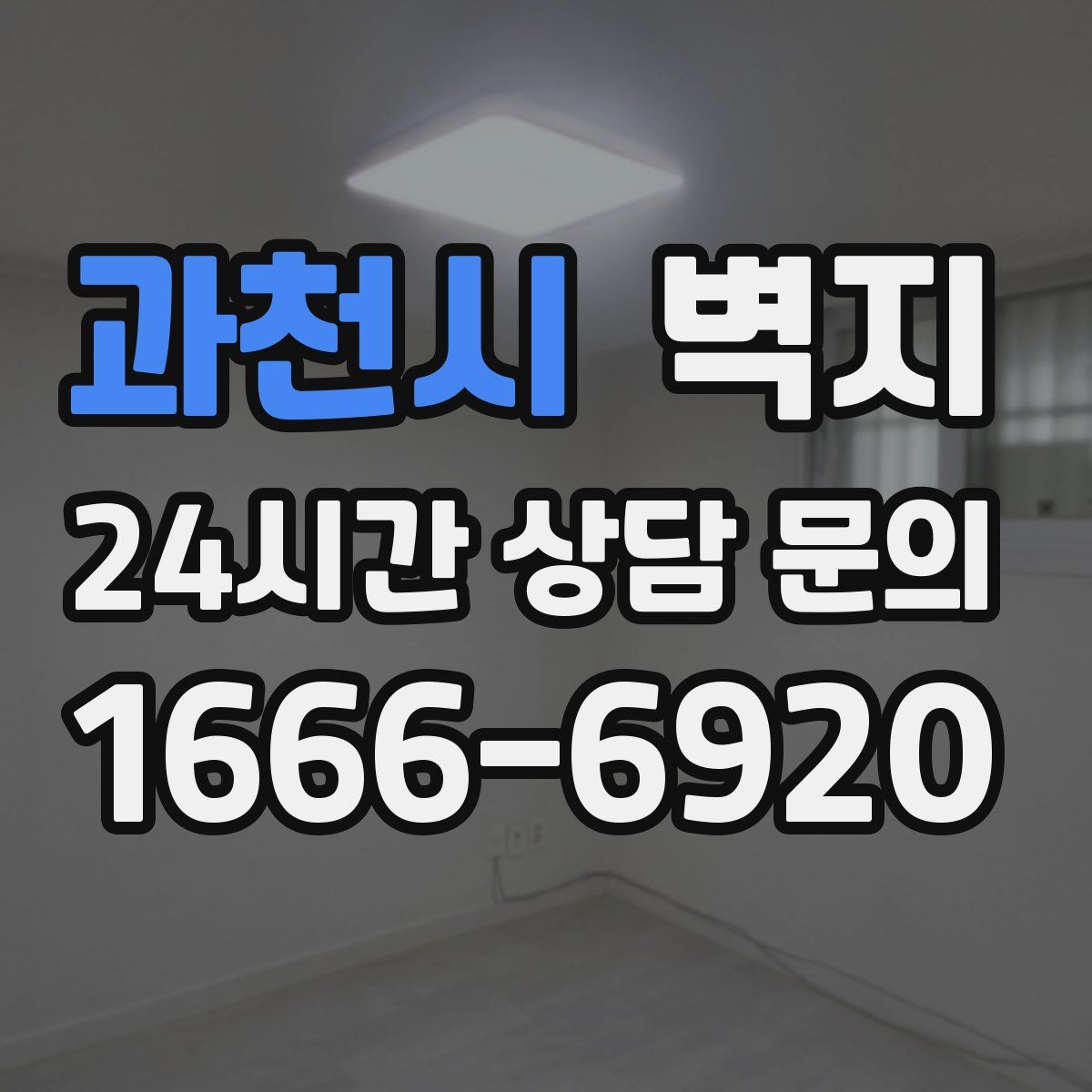 과천시 벽지