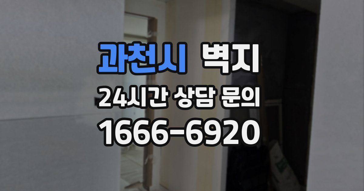 과천시 벽지