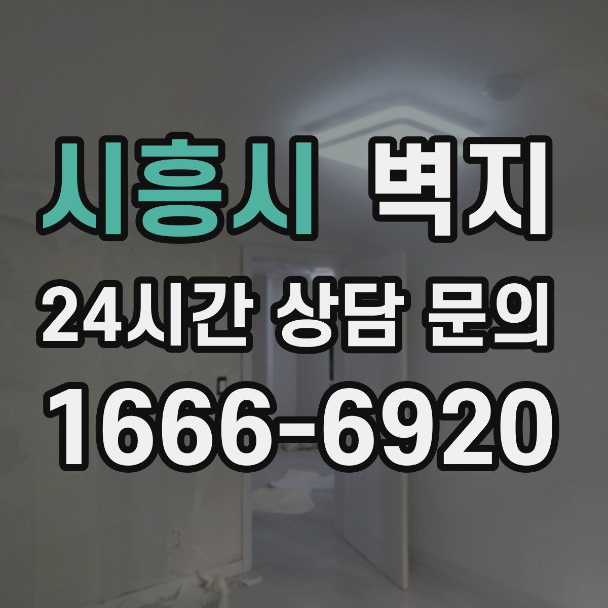 시흥시 벽지