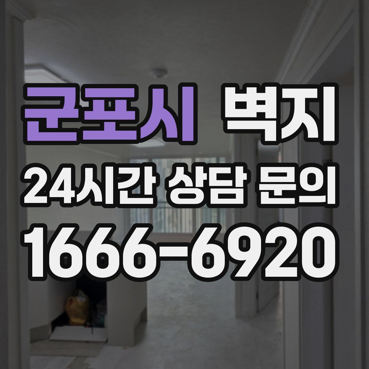 군포시 벽지