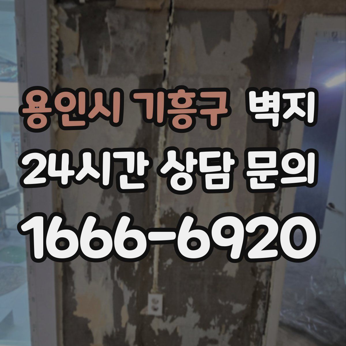 용인시 기흥구 벽지