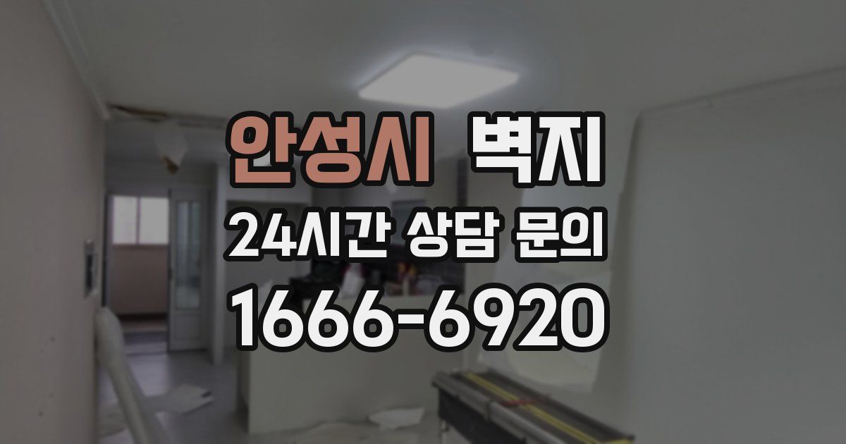 안성시 벽지
