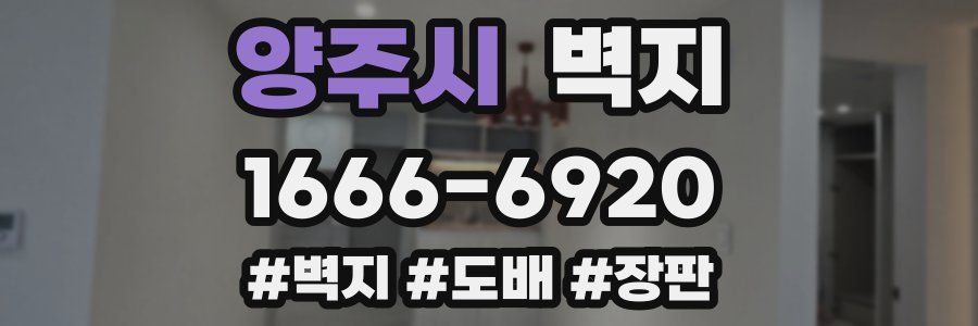 양주시 벽지