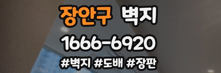 장안구 벽지