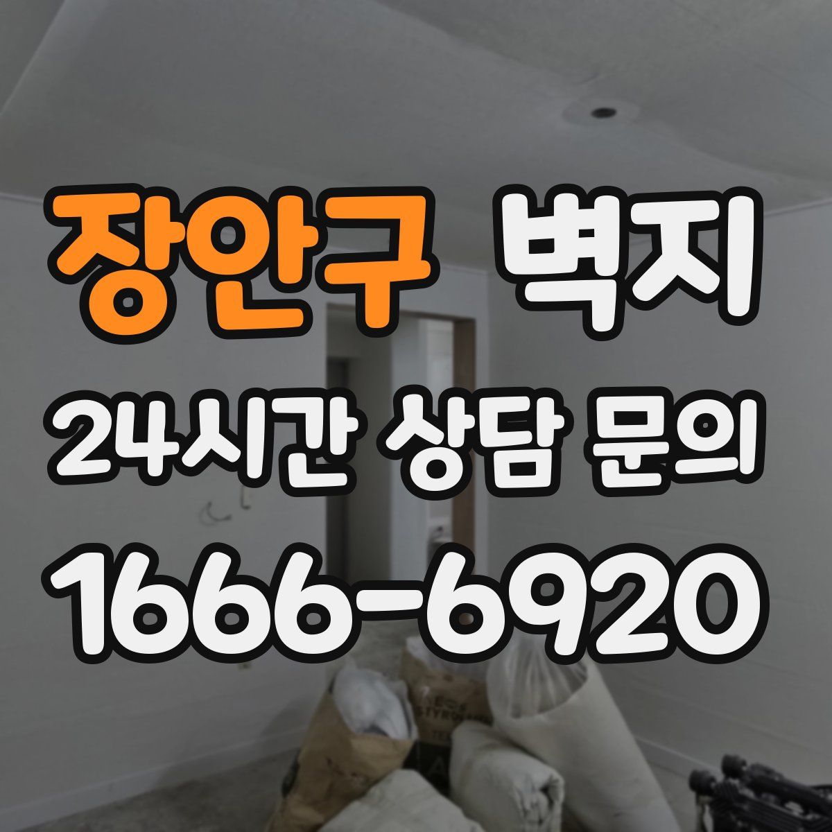 장안구 벽지