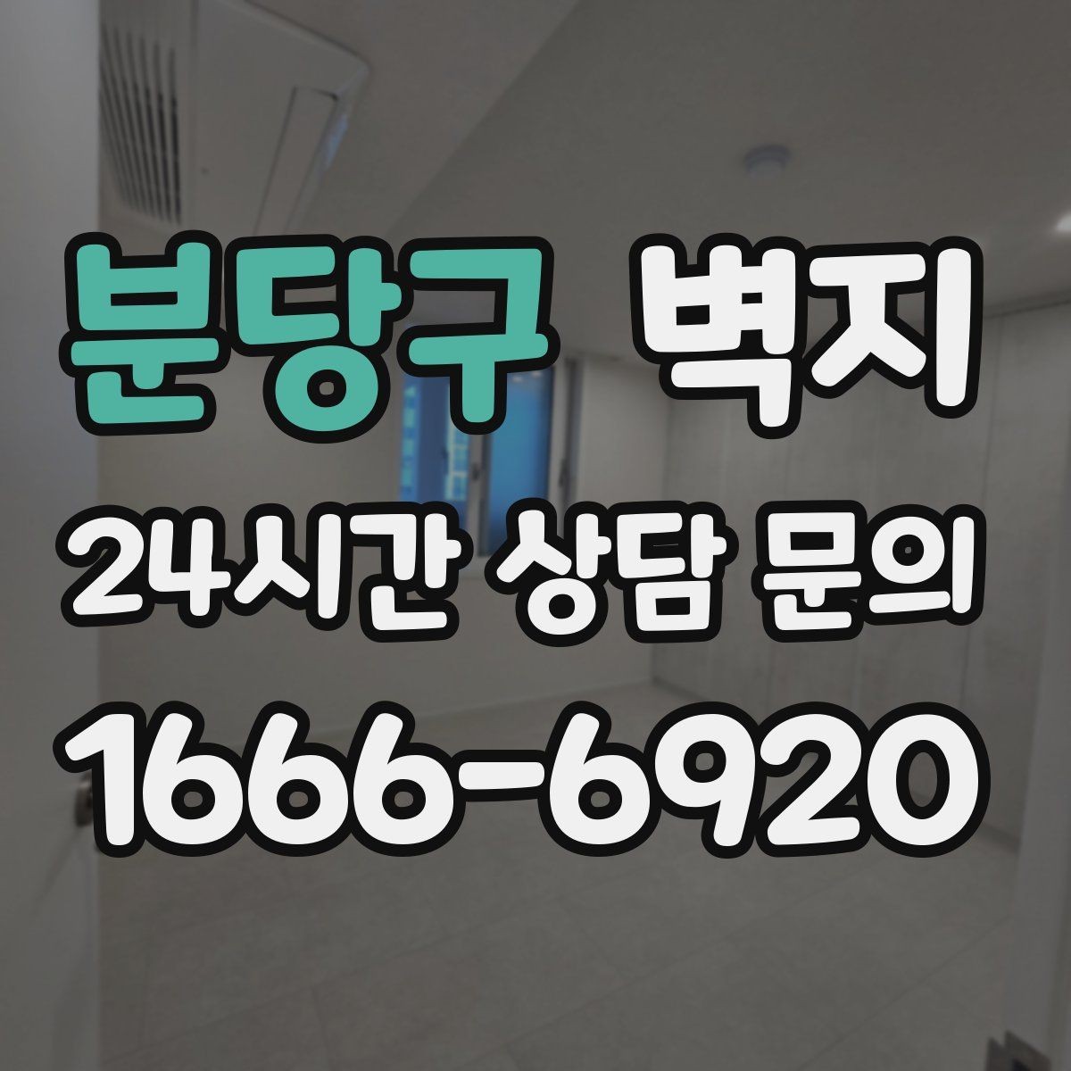 분당구 벽지 비교 전 알아두면 좋은 기본 항목
