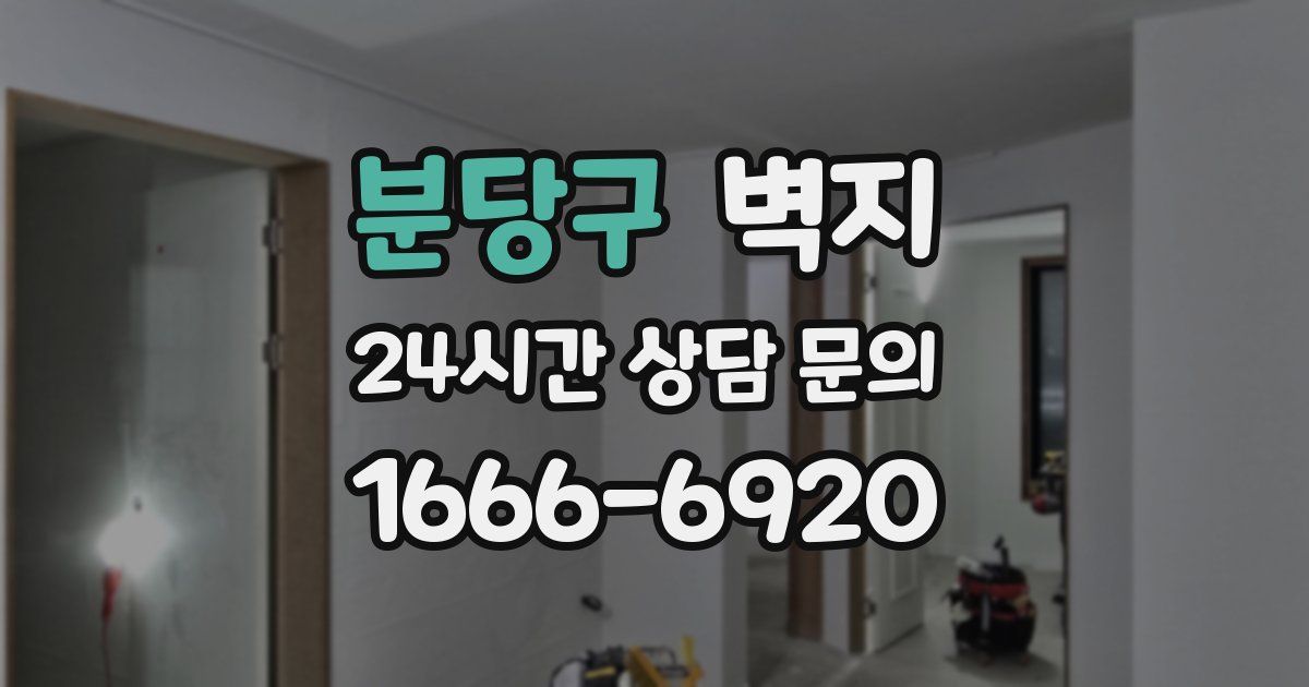분당구 벽지