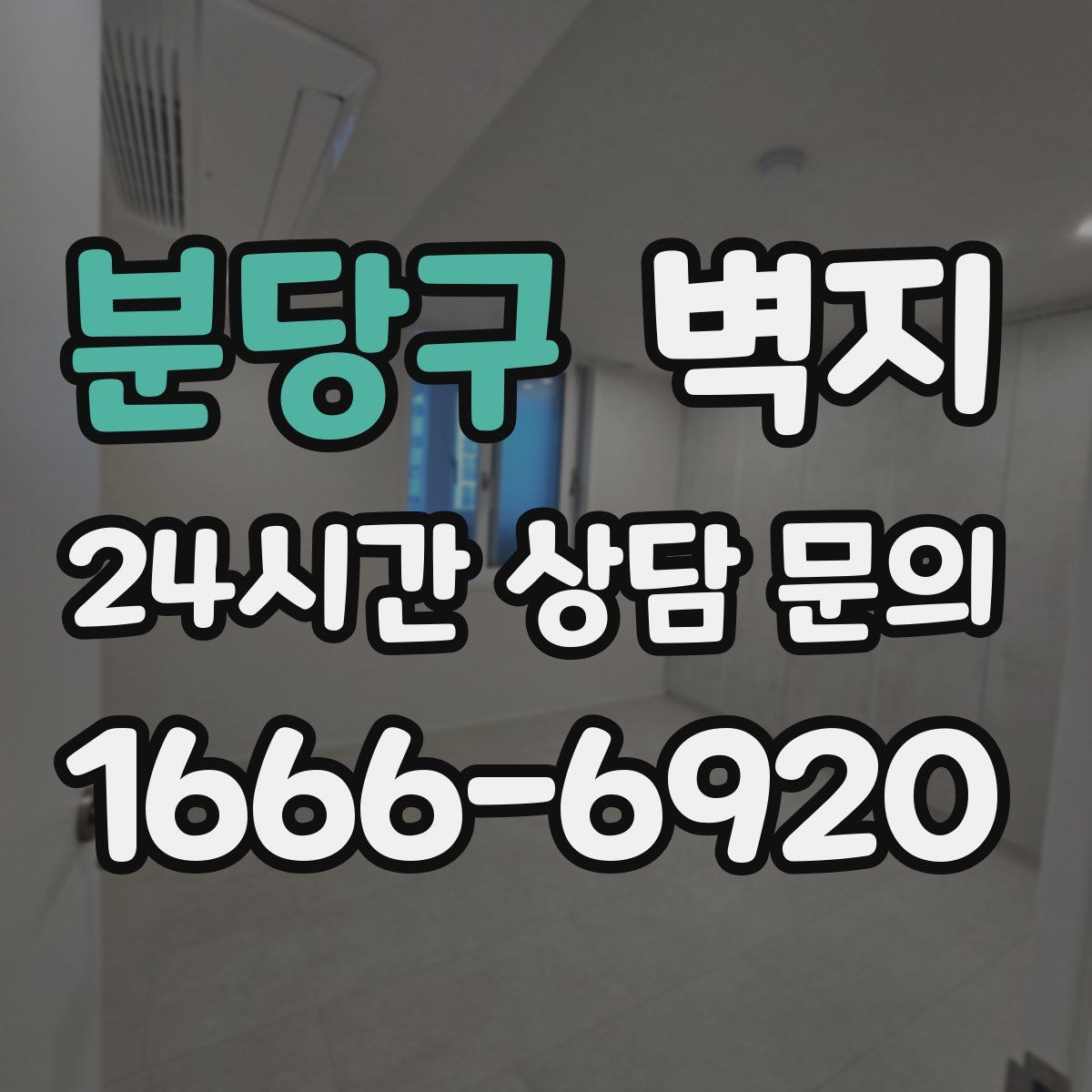 분당구 벽지