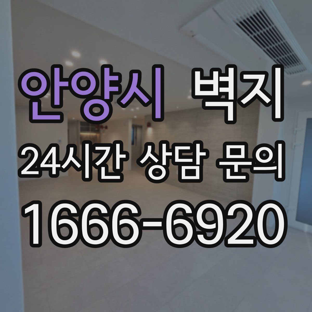 안양시 벽지