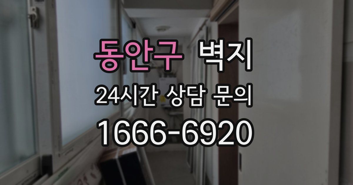 동안구 벽지