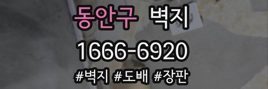 동안구 벽지
