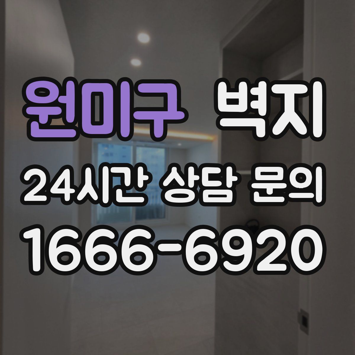 원미구 벽지