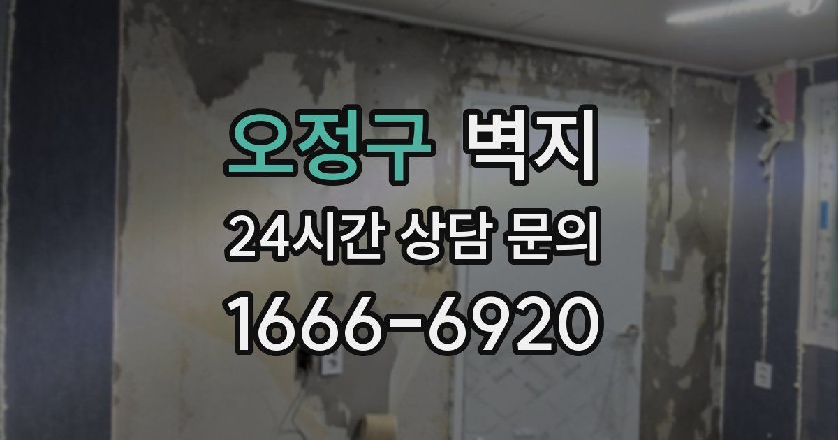 오정구 벽지