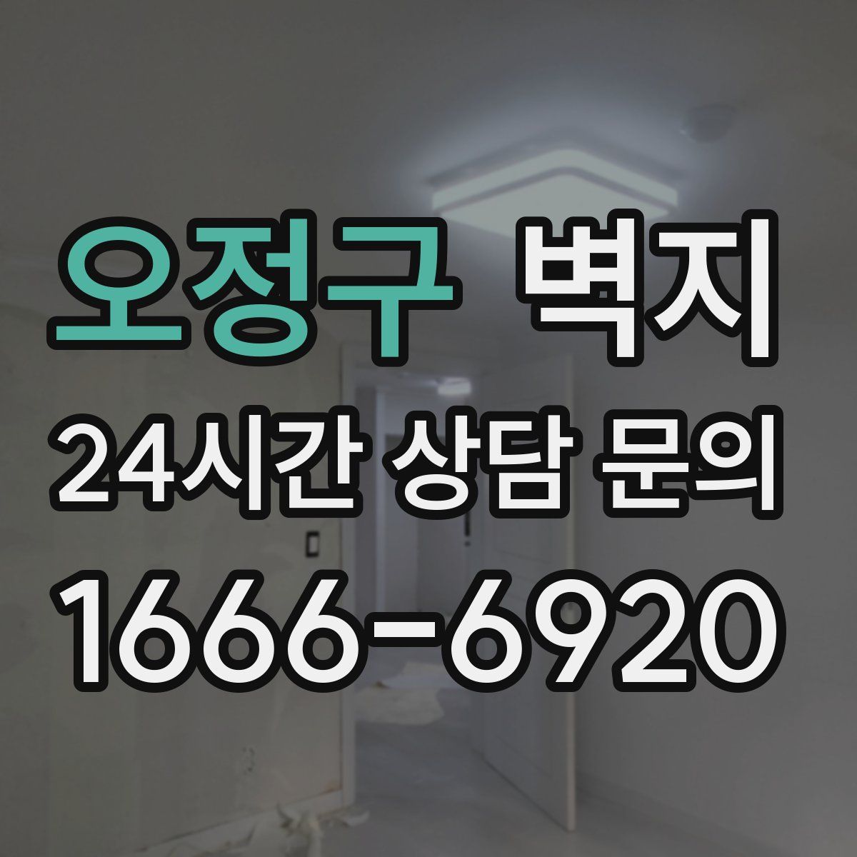 오정구 벽지