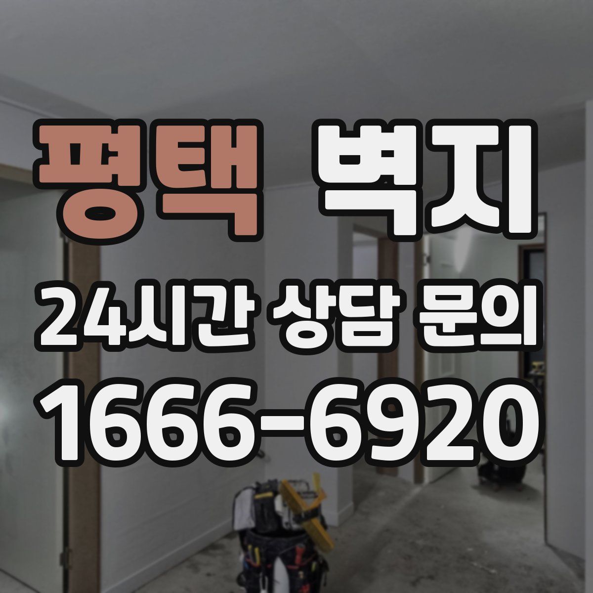 평택 벽지