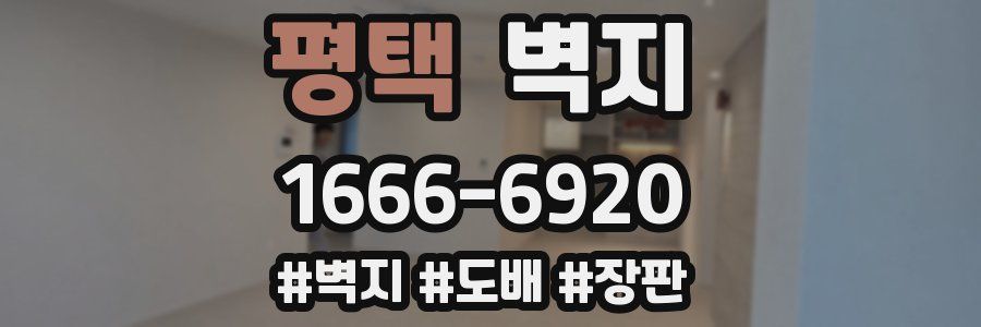 평택 벽지