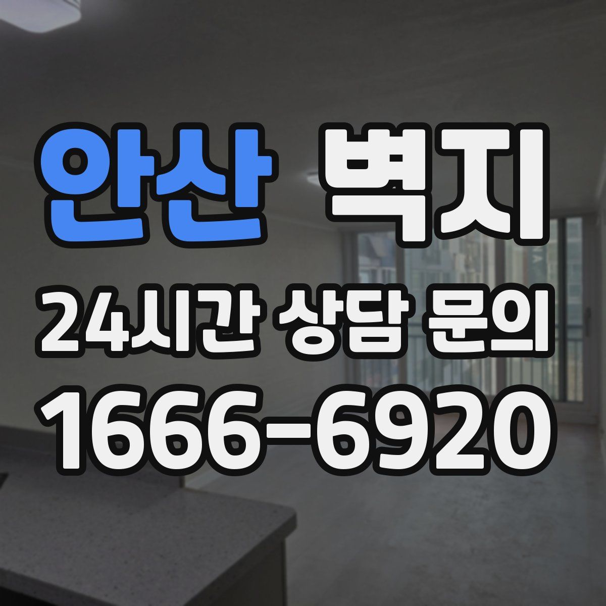 안산 벽지