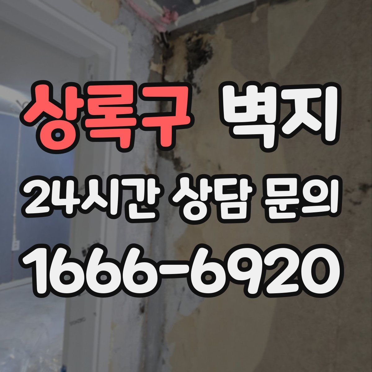 상록구 벽지