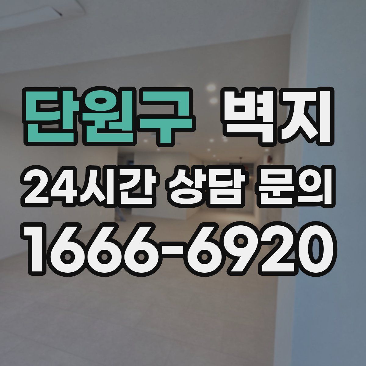 단원구 벽지