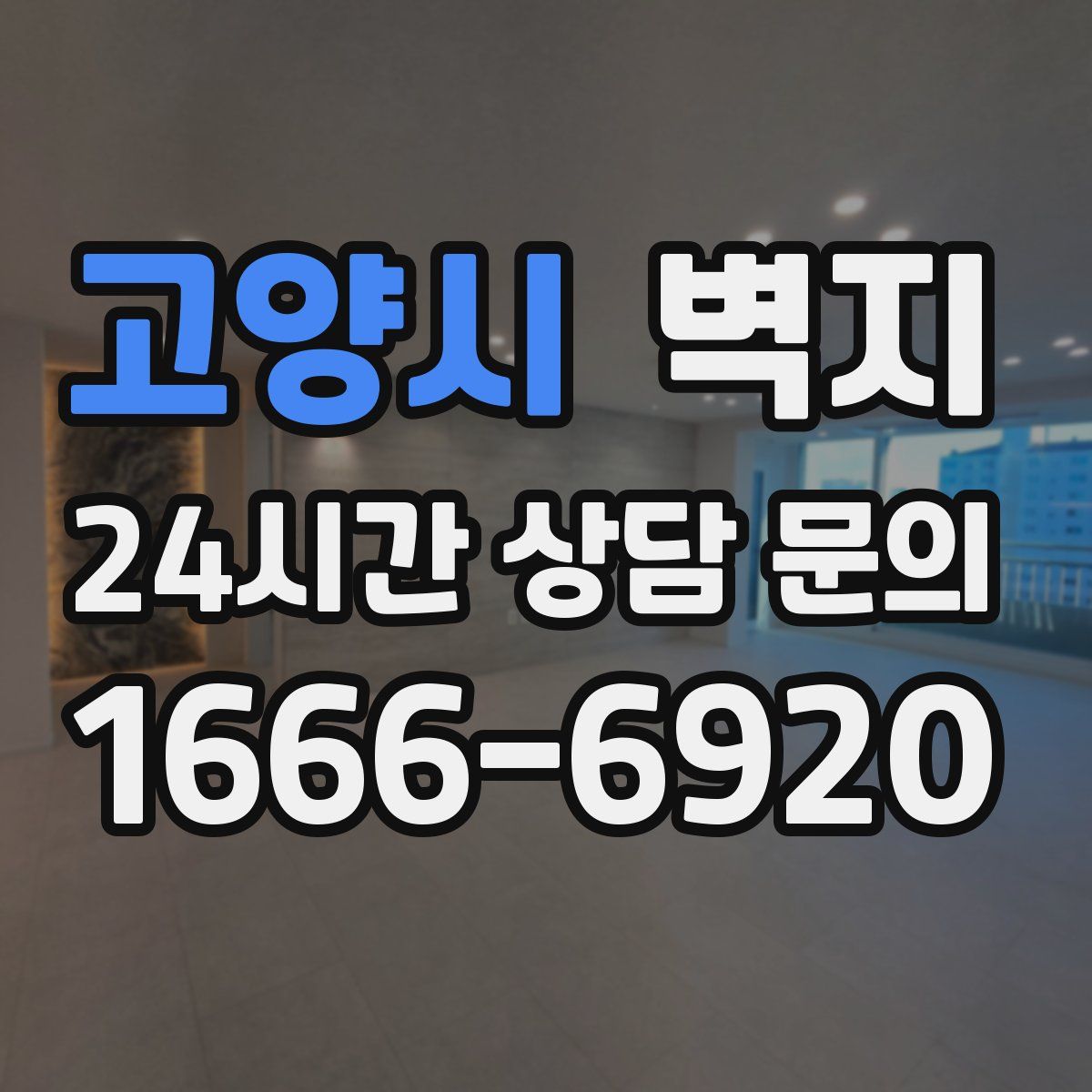 고양시 벽지