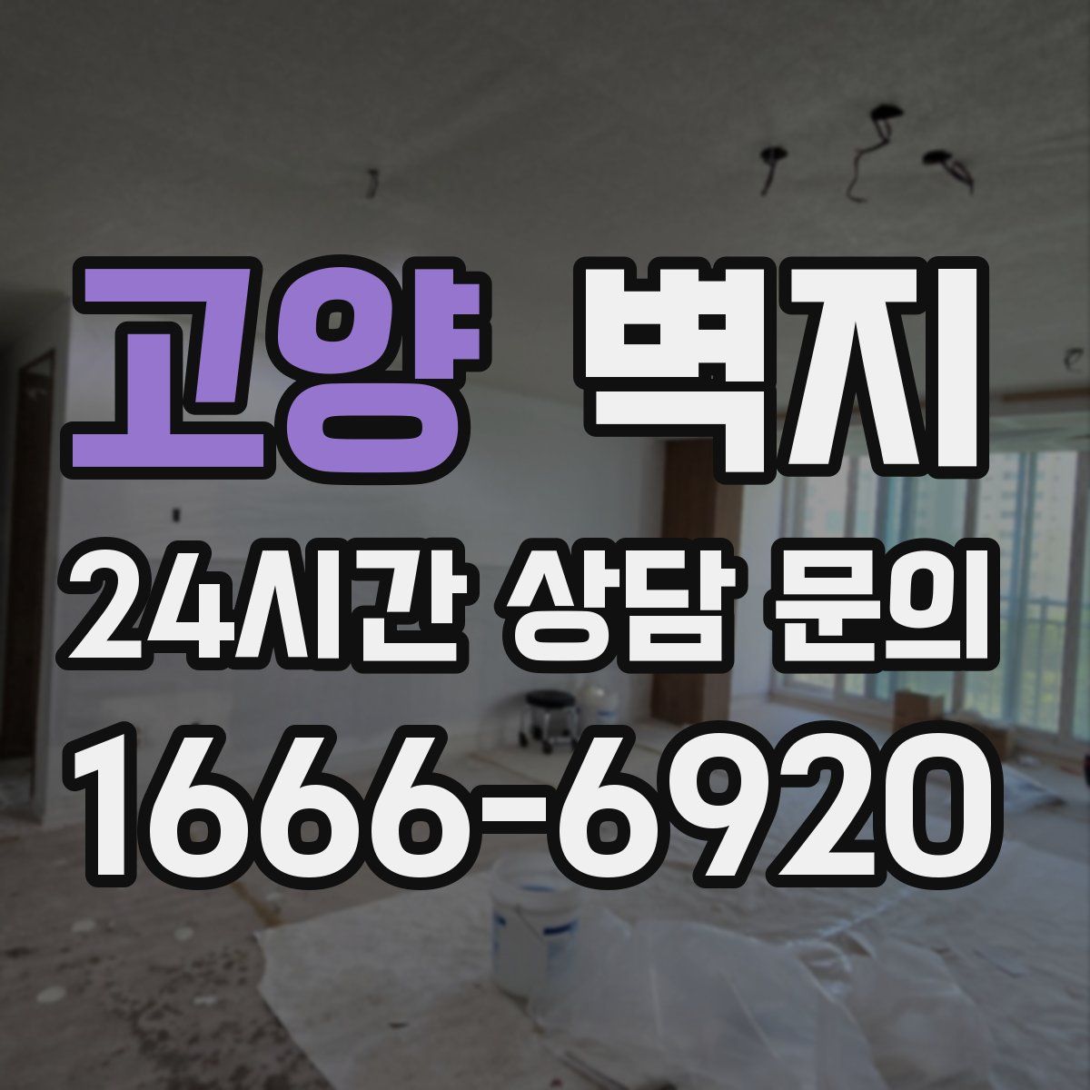 고양 벽지