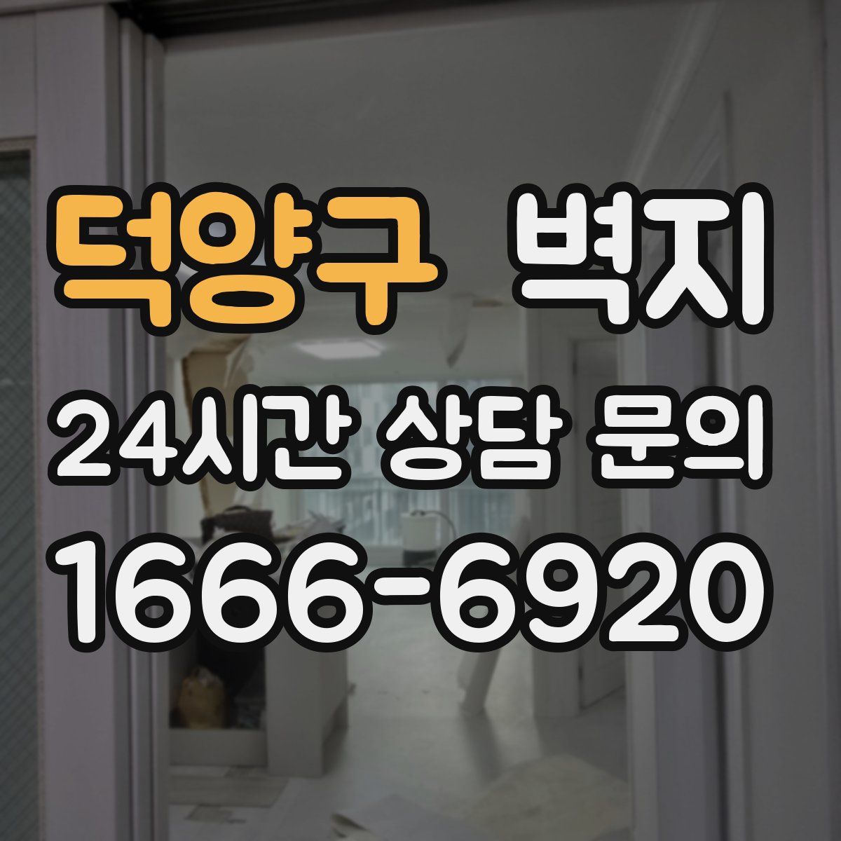 덕양구 벽지
