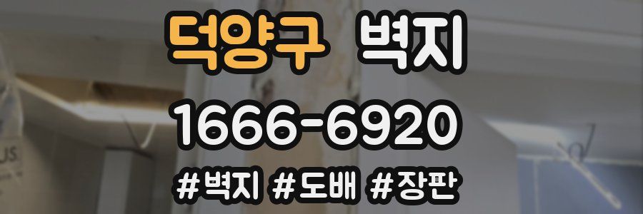 덕양구 벽지