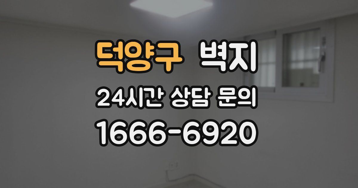 덕양구 벽지