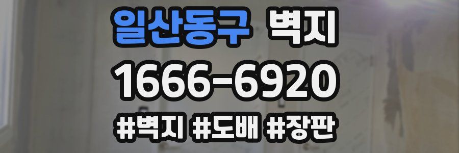 일산동구 벽지