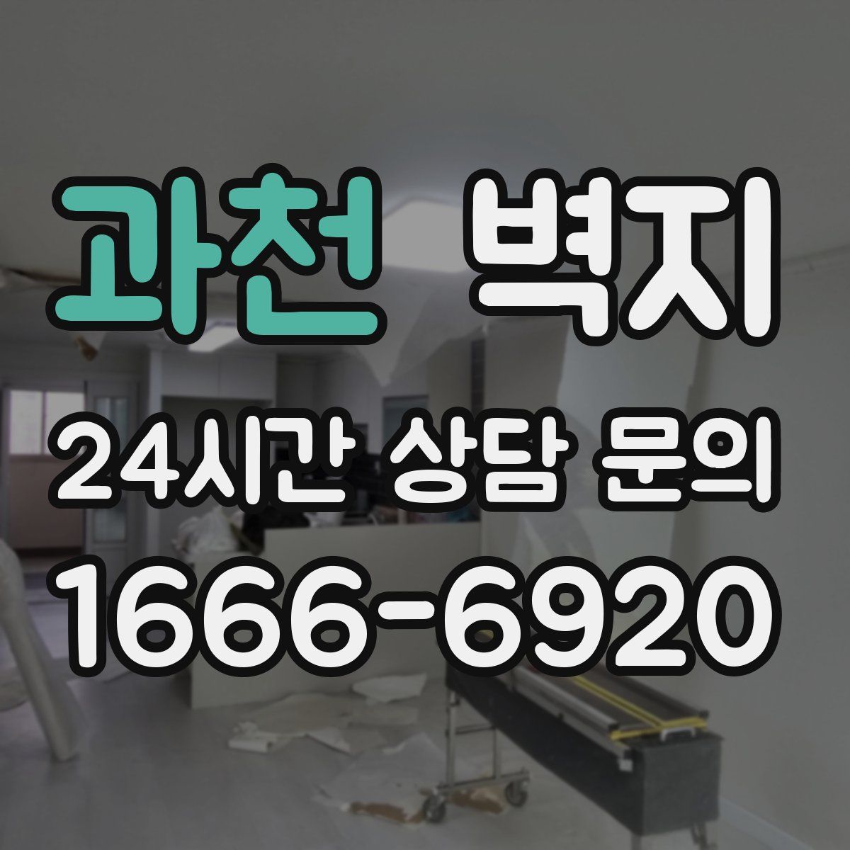 과천 벽지