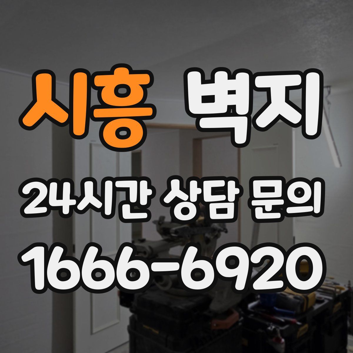 시흥 벽지