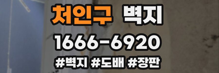 처인구 벽지