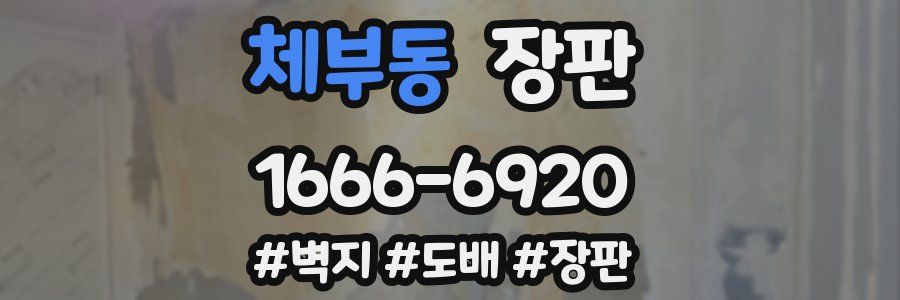 체부동 장판