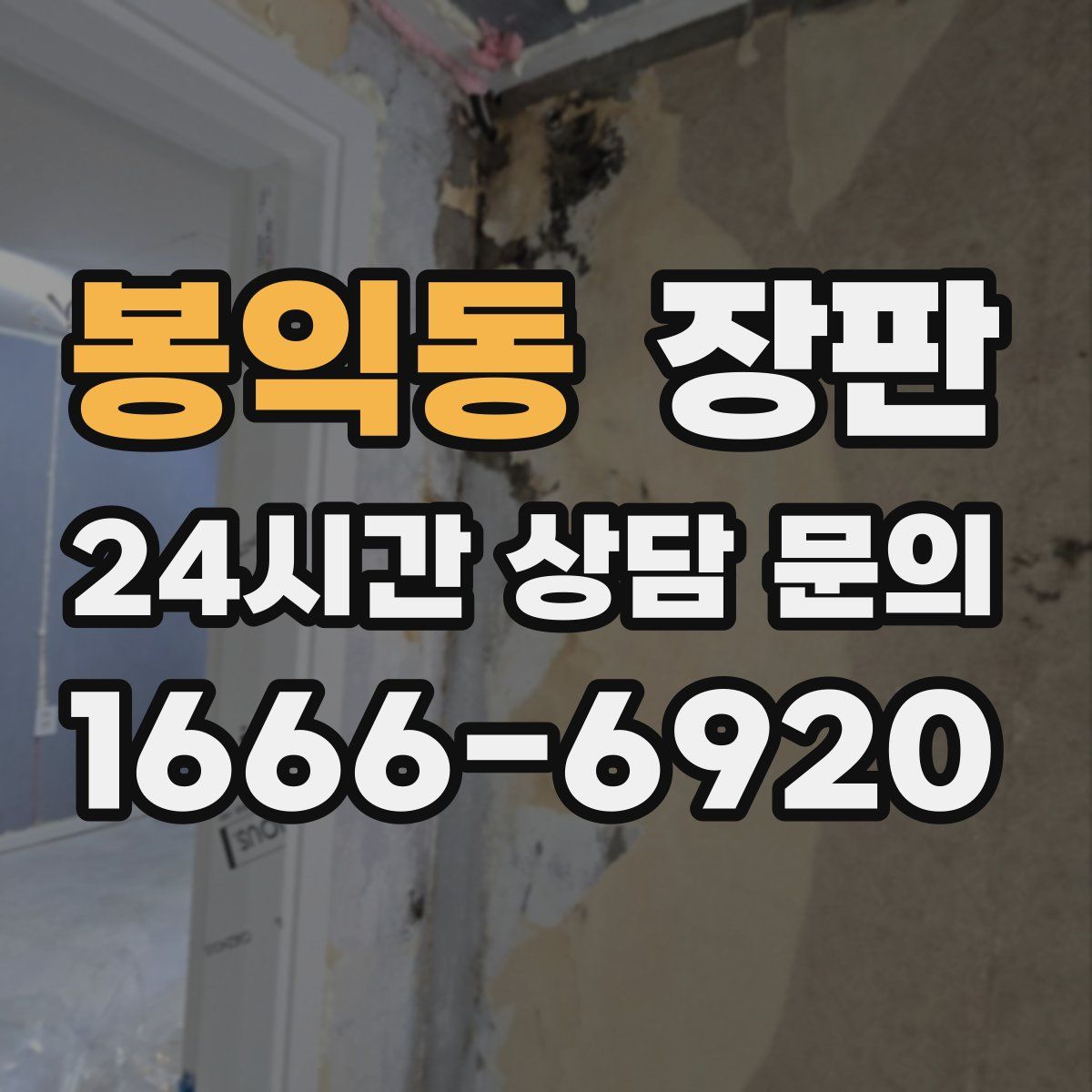 봉익동 장판