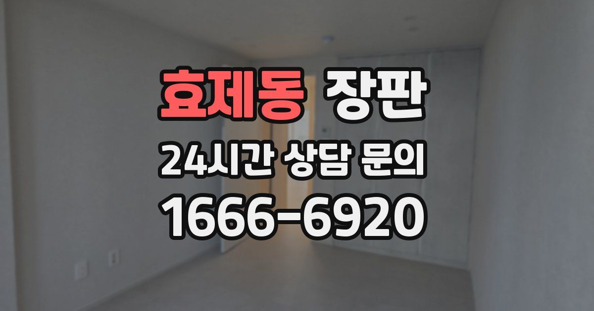 효제동 장판