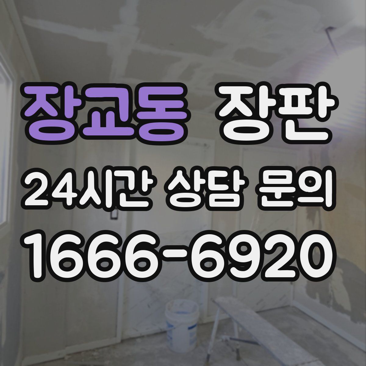 장교동 장판