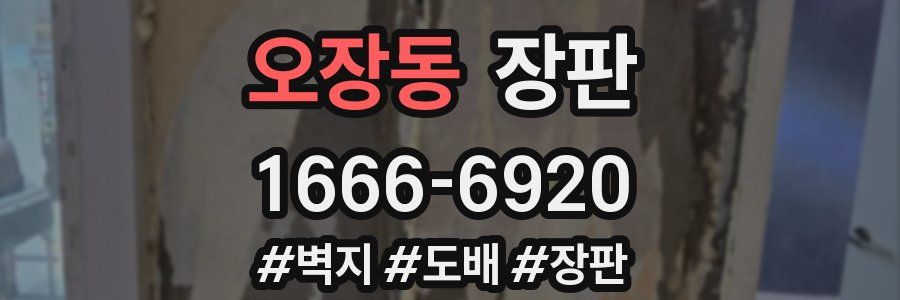오장동 장판