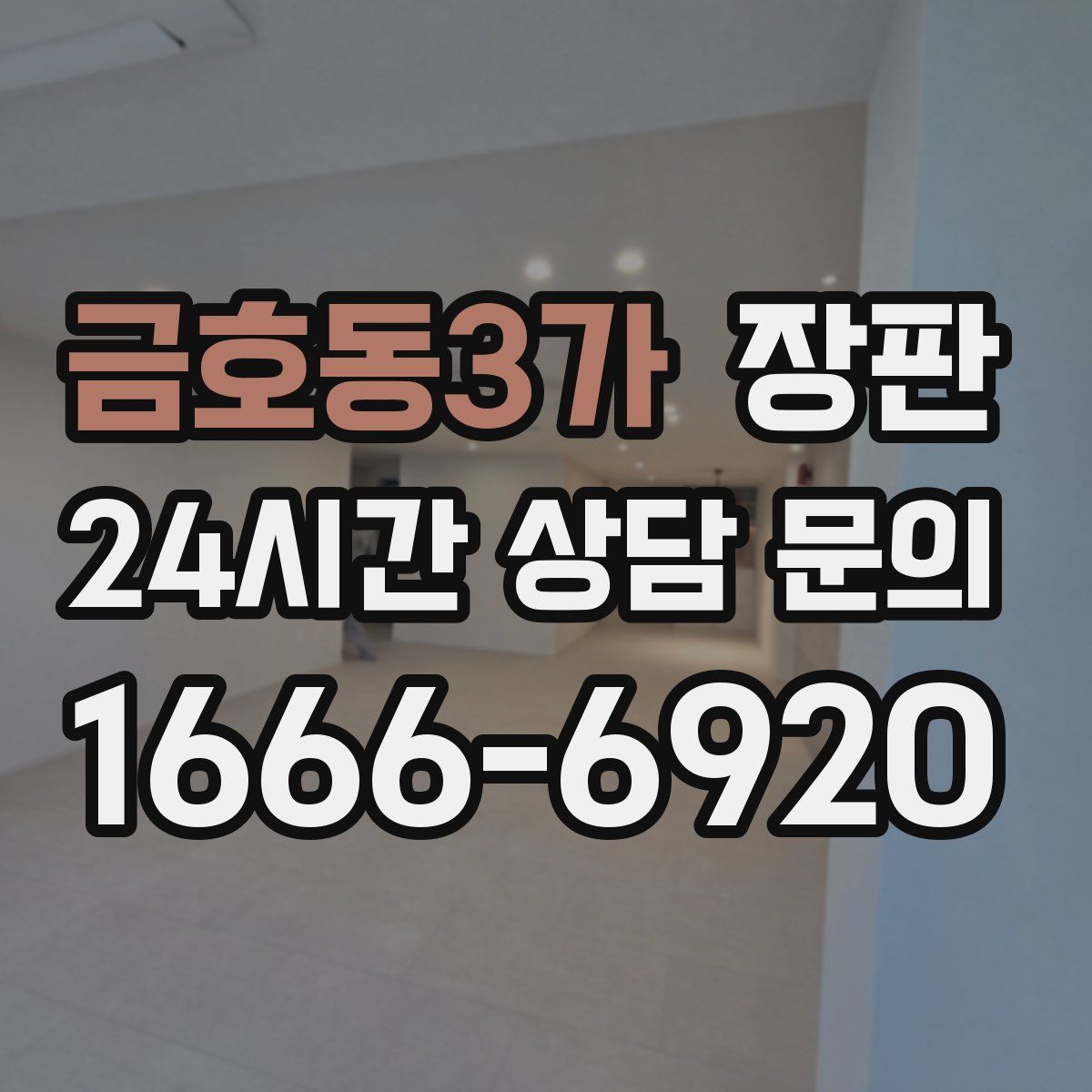 금호동3가 장판