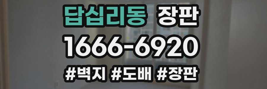답십리동 장판