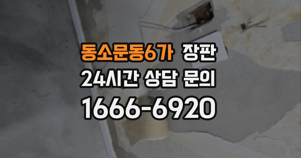 동소문동6가 장판